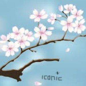 Meet your Posher, IconicStyles